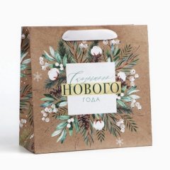 Пакет бумажный "Сказочный Новый год" 22х22х11 см 4984259