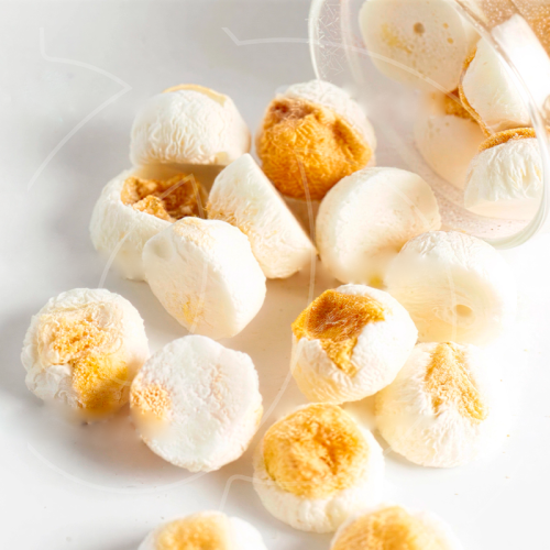 Манго сублимированный Шарики в йогурте 25 г 00038