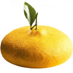 Форма силиконовая Pavoni "CITRON" KE057